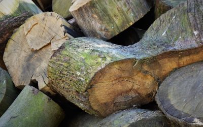 Tipos de contenedores