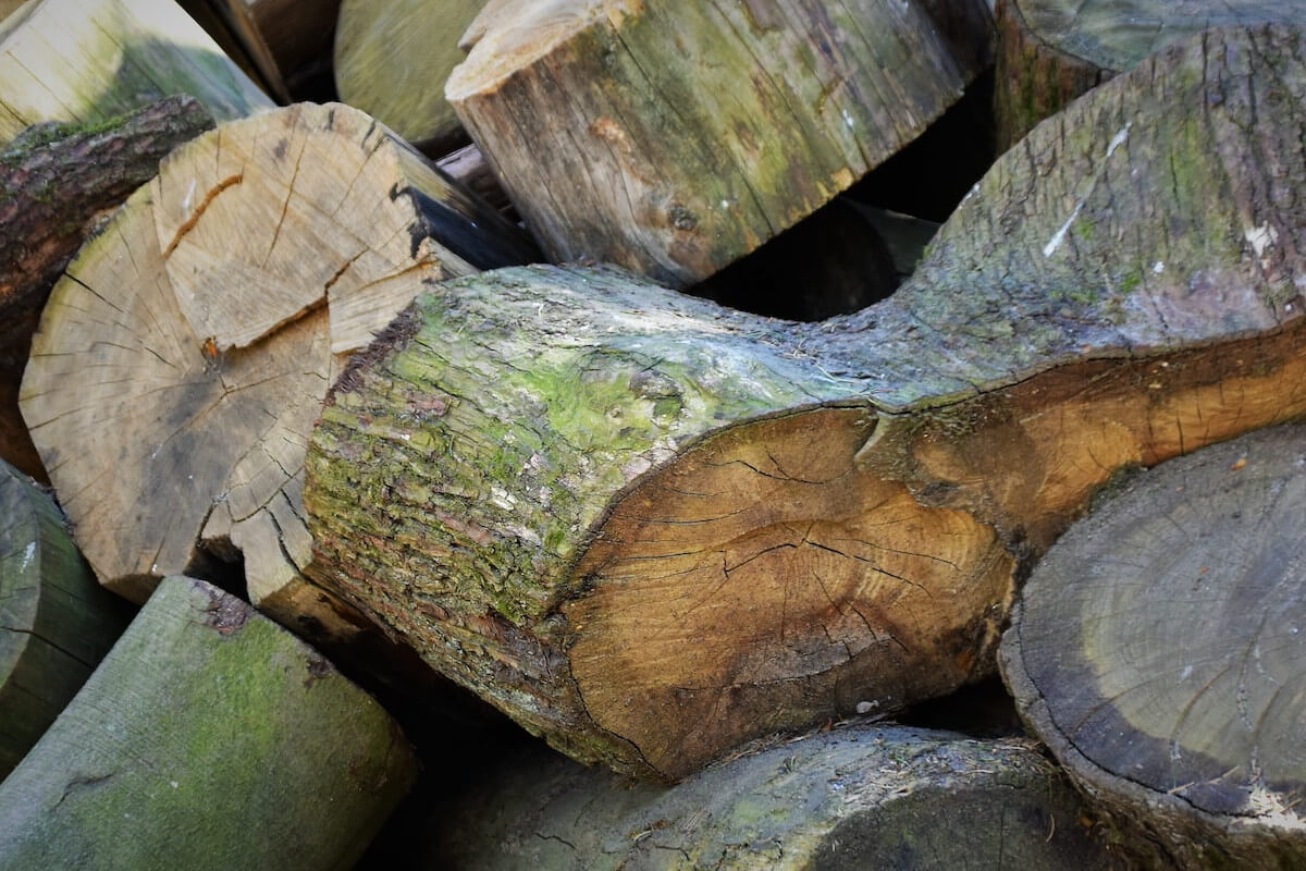 Contenedores-las-Rozas-te-permite-alquilar-contenedores-para-residuos-de-poda Tipos de contenedores