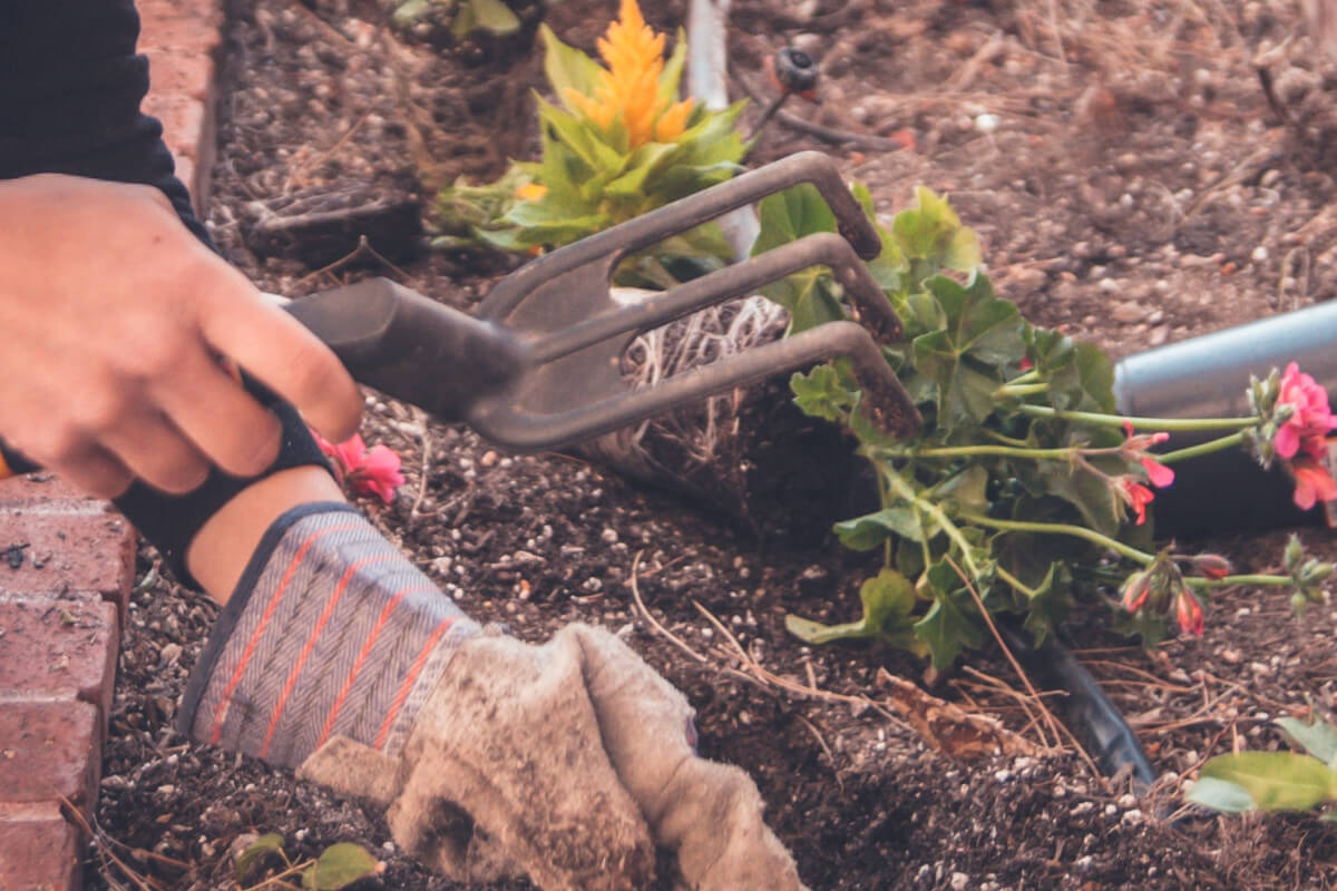 El-tamano-del-contenedor-a-alquilar-se-determina-segun-el-volumen-de-residuos Alquilar contenedor para poda Madrid