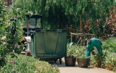 Servicio de Recogida de Poda en Madrid: Mantén tus Espacios Verdes Impecables y Sostenibles