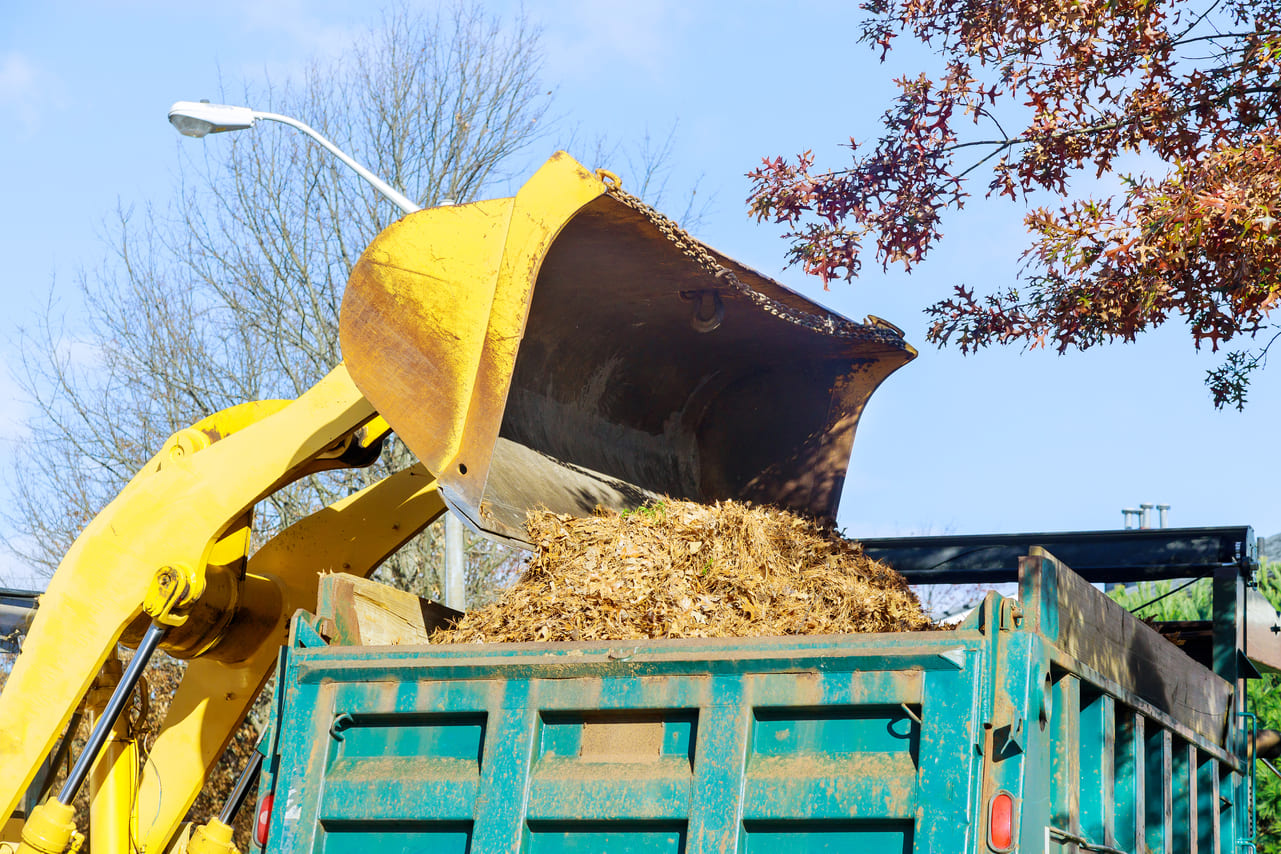 Servicios de alquiler y transporte de contenedores de obra