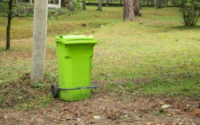 Ventajas del Alquiler de Contenedores para Poda: Eficiencia y Comodidad