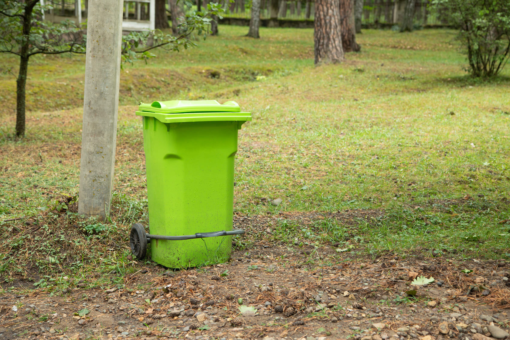 alquiler-de-contenedores-para-poda alquiler de contenedores para poda