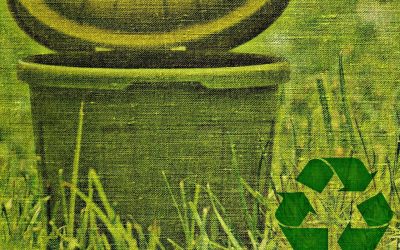 Reciclaje de Residuos de Jardinería: Comprometidos con el Medio Ambiente