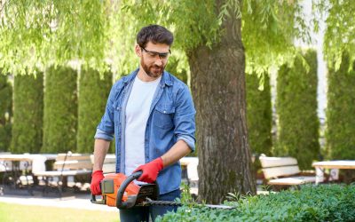 Recogida de Podas y Restos Vegetales: Servicios Profesionales