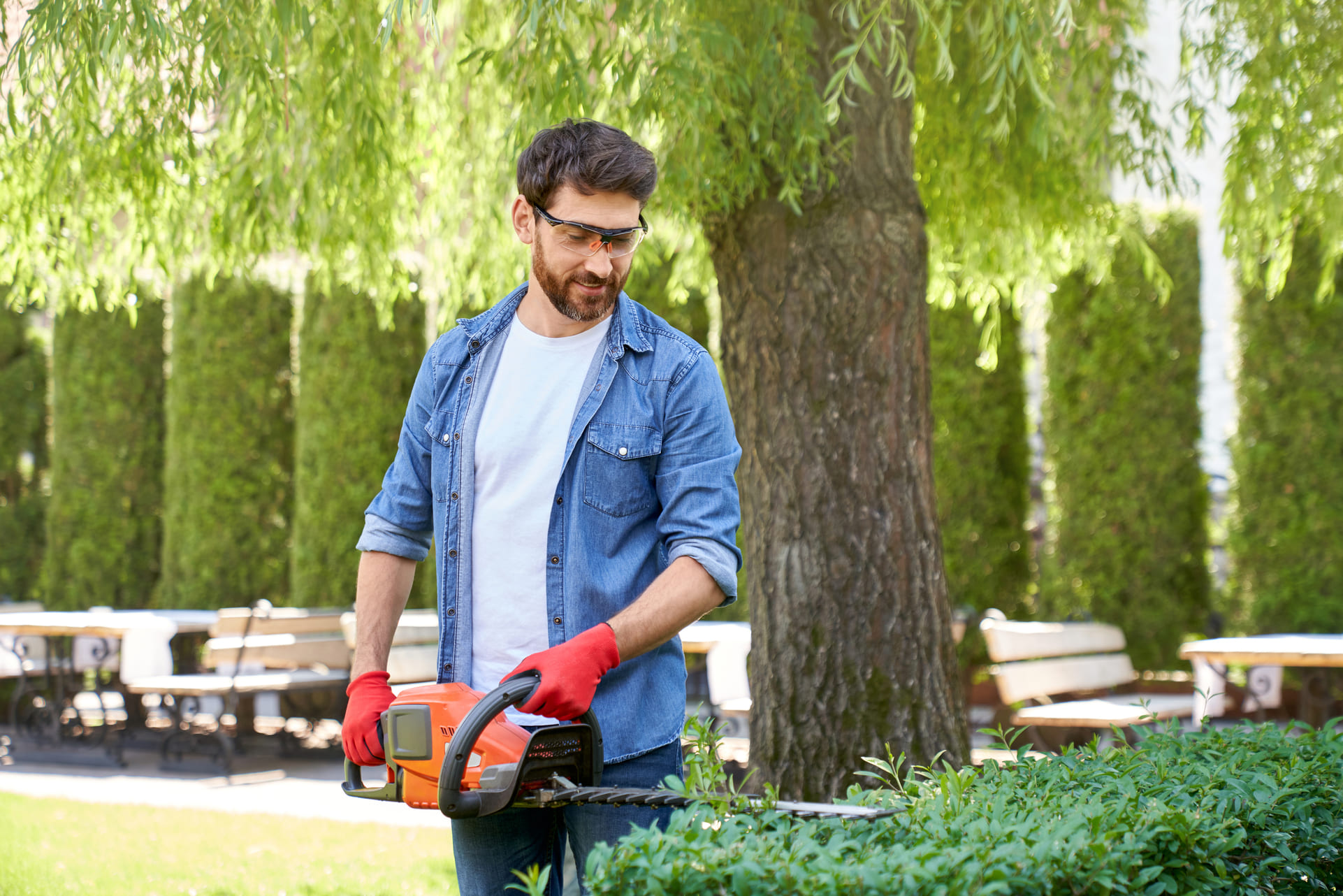 Recogida-de-podas-y-restos-vegetales Recogida-de-podas-y-restos-vegetales.