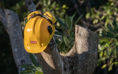 Servicio Express de Retirada de Poda en Las Rozas | Contenedores Variados