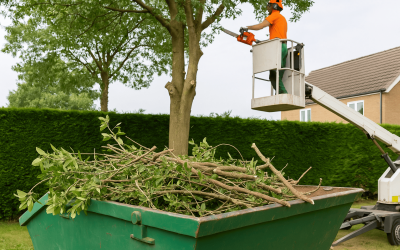 Servicios poda para jardines, comunidades y empresas