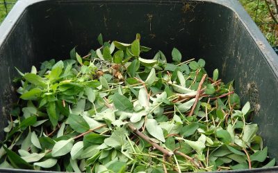 Contenedor para poda en urbanizaciones de Las Rozas