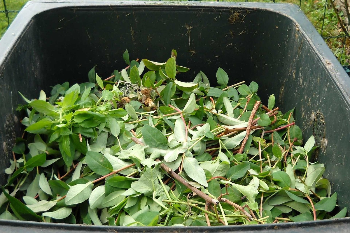 Contenedor para poda en urbanizaciones de Las Rozas