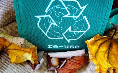 Ordenanza en Las Rozas: contenedores en vía pública